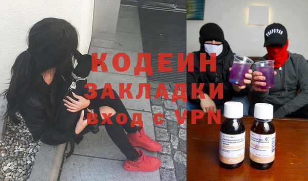 шишки Нягань