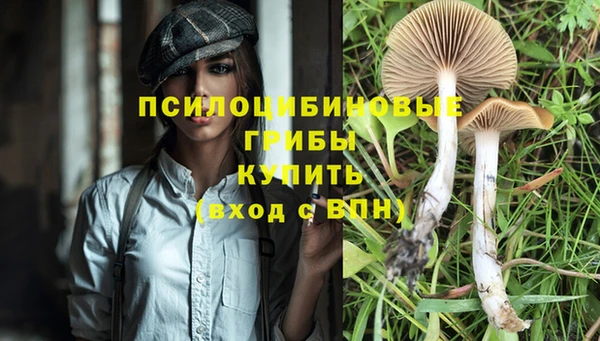 mdma Мегион