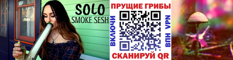 площадка какой сайт Сальск Псилоцибиновые грибы MAGIC MUSHROOMS