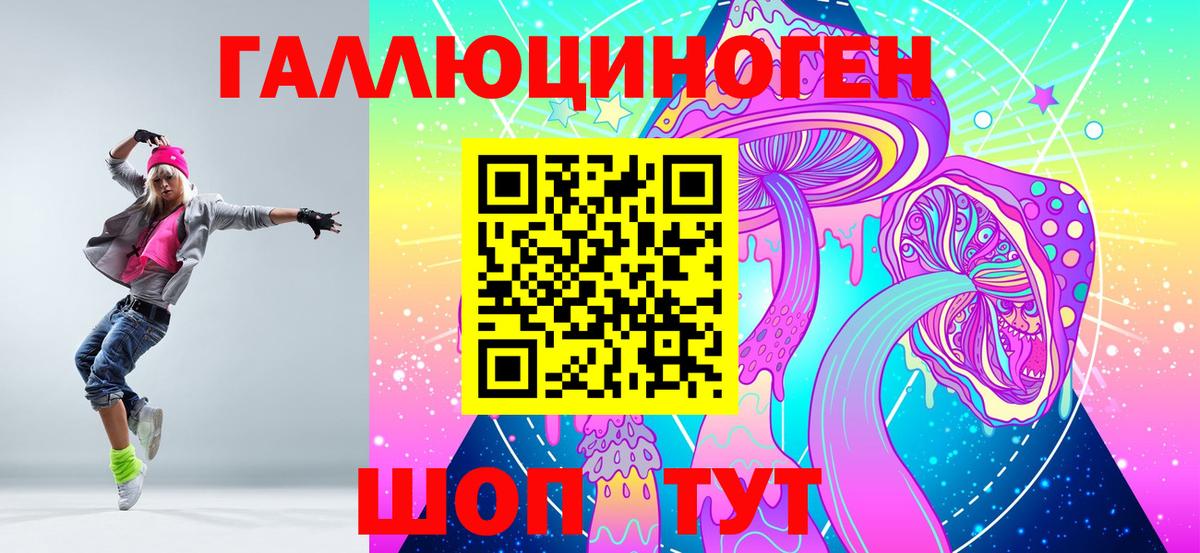 Галлюциногенные грибы Psilocybine cubensis Сальск