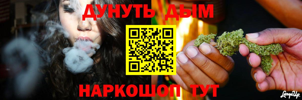 Бошки Шишки гибрид Сальск
